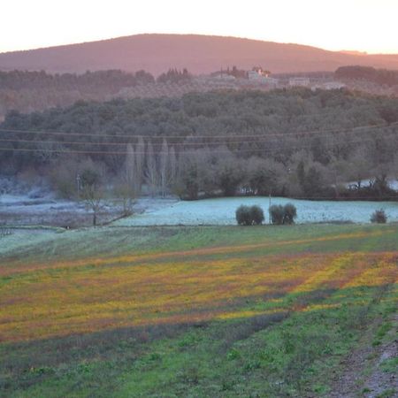 Podere Ficareto Farm Ancaiano Exterior photo